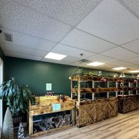 Central Mass Reptiles & Exotics ico