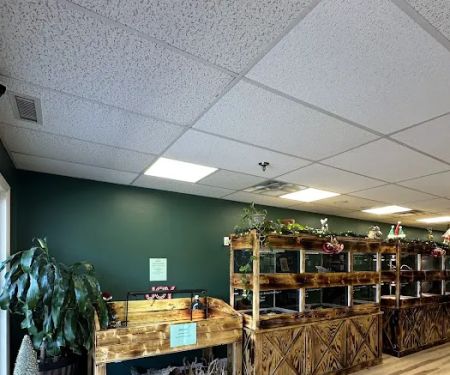 Central Mass Reptiles & Exotics