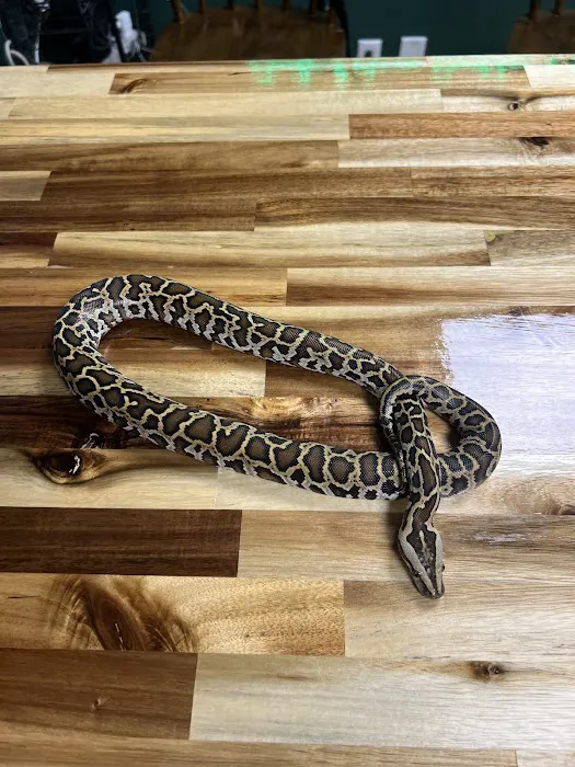Central Mass Reptiles & Exotics Picture 5