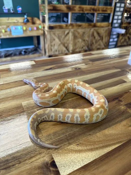Central Mass Reptiles & Exotics Picture 6