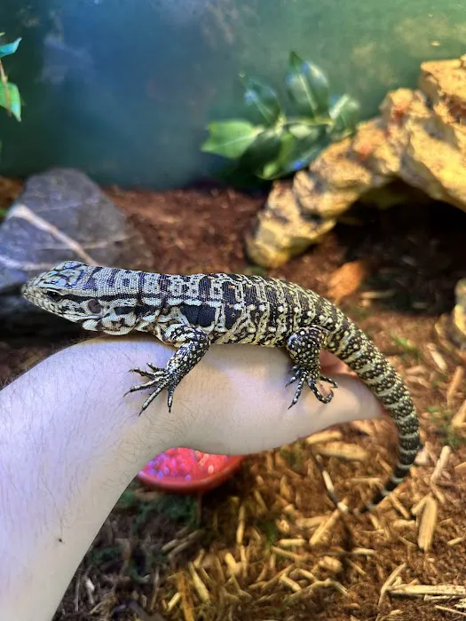 Central Mass Reptiles & Exotics Picture 7
