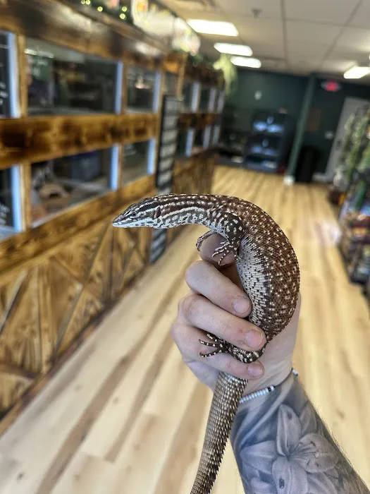 Central Mass Reptiles & Exotics Picture 10