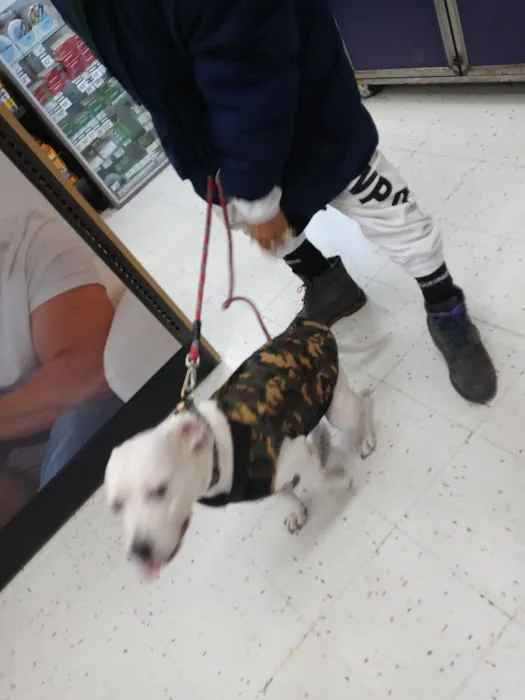 Petco Picture 8