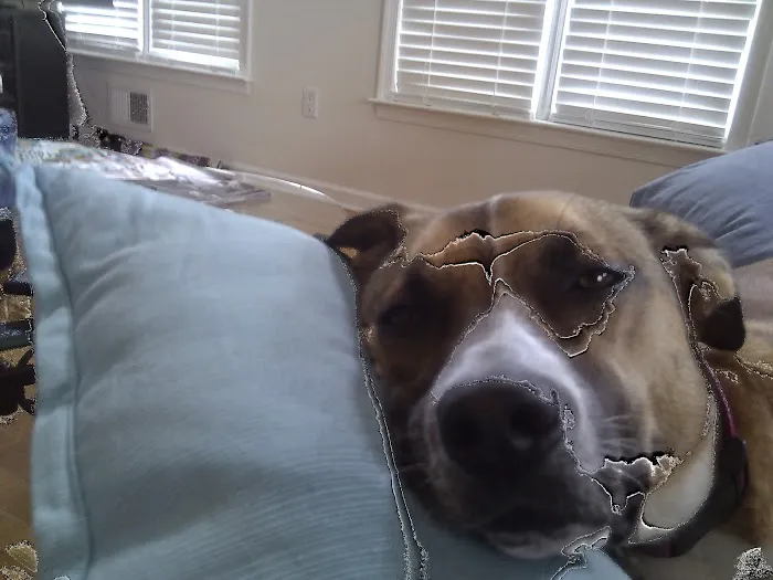 Brick Town Veterinary Hospital Picture 9