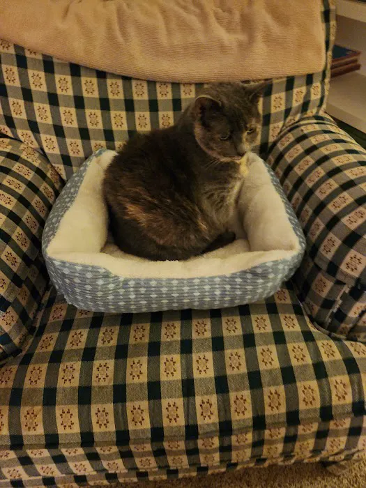 Brick Town Veterinary Hospital Picture 10