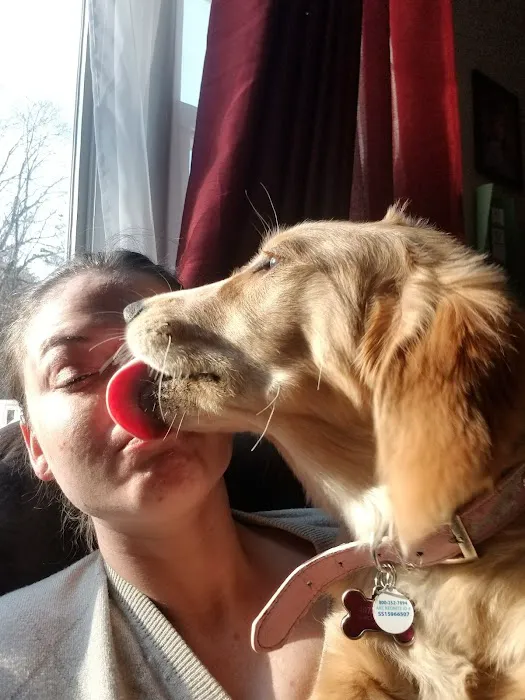The Perfect Puppy Picture 7