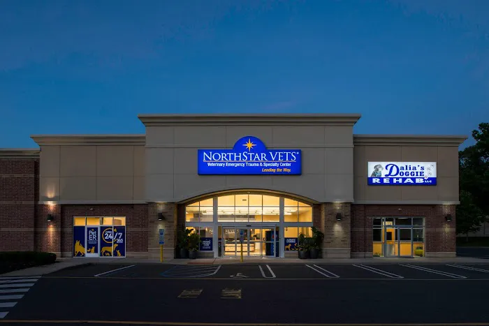 NorthStar VETS Picture 1