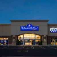 NorthStar VETS ico