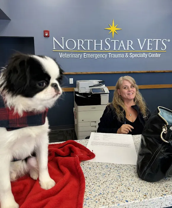 NorthStar VETS Picture 8