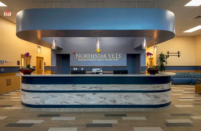 NorthStar VETS Picture 10