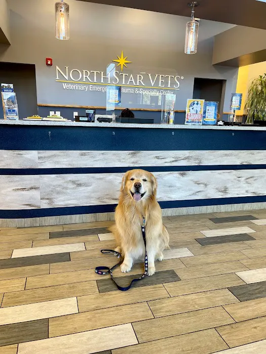 NorthStar VETS Picture 9