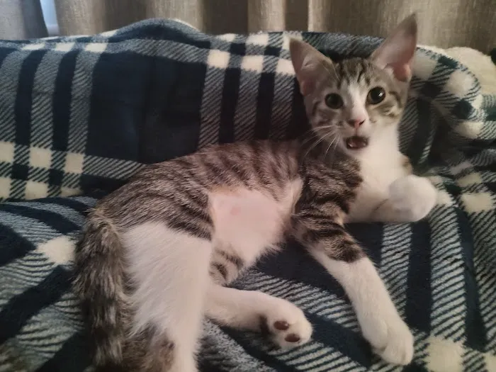 Banfield Pet Hospital Picture 2