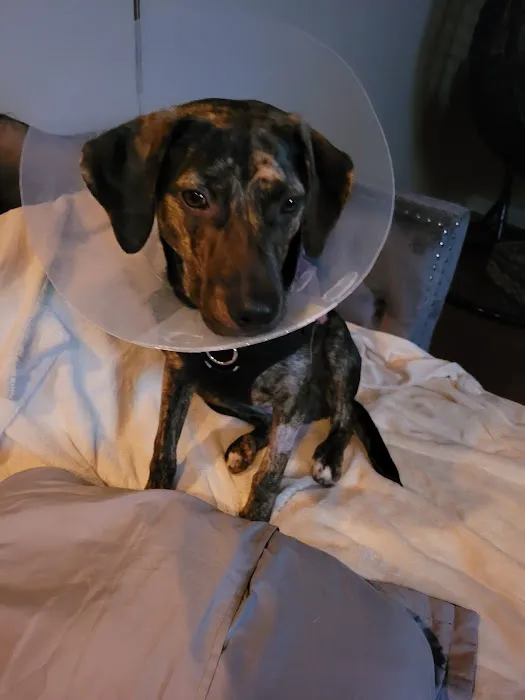 Banfield Pet Hospital Picture 9