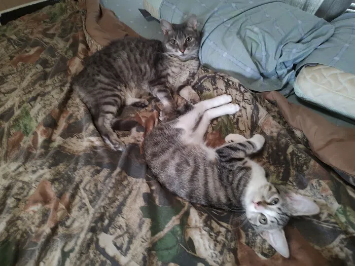 Banfield Pet Hospital Picture 8
