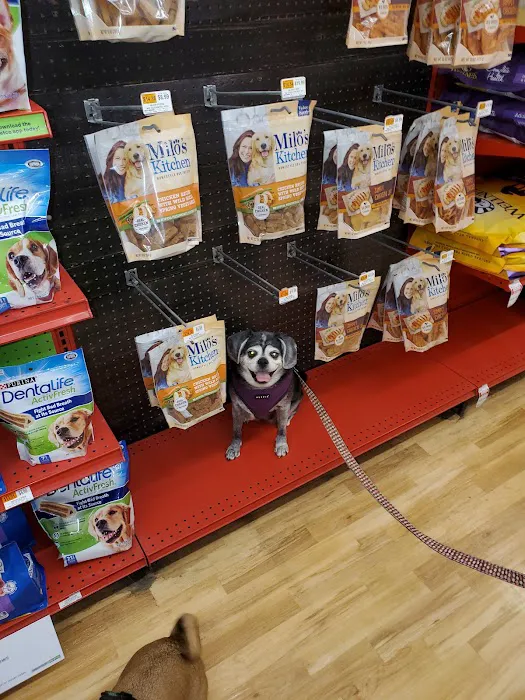 Petco Picture 3