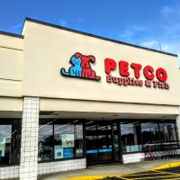 Petco ico