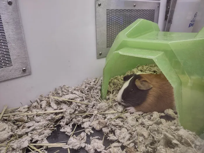 Petco Picture 2