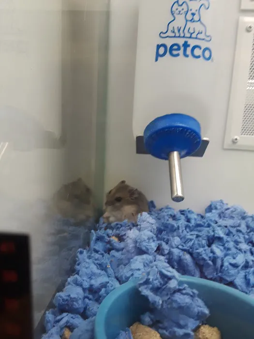 Petco Picture 6