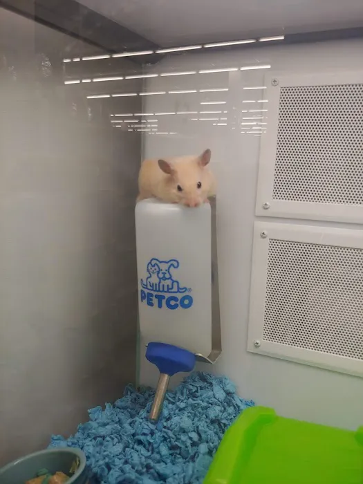 Petco Picture 8