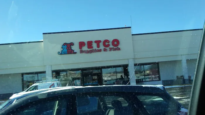 Petco Picture 7