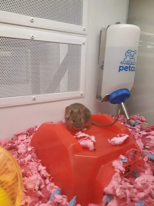 Petco Picture 10