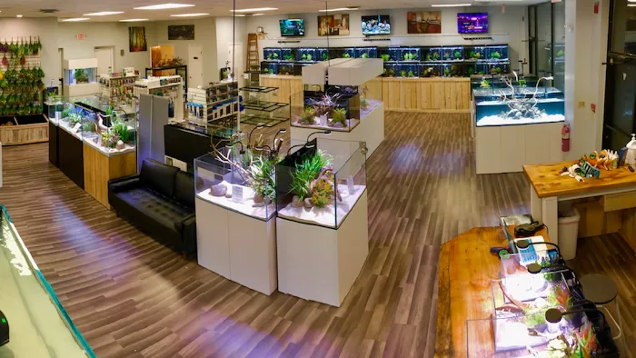 OSA Aquarium Superstores & Services- Seekonk MA Picture 1