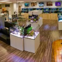 OSA Aquarium Superstores & Services- Seekonk MA ico