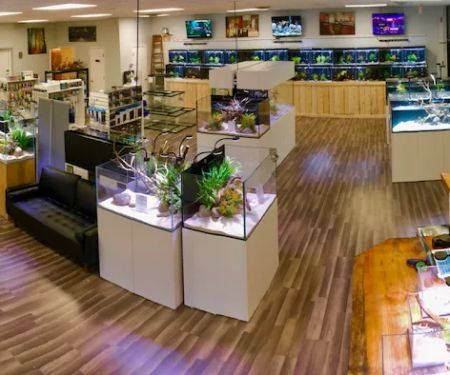 OSA Aquarium Superstores & Services- Seekonk MA