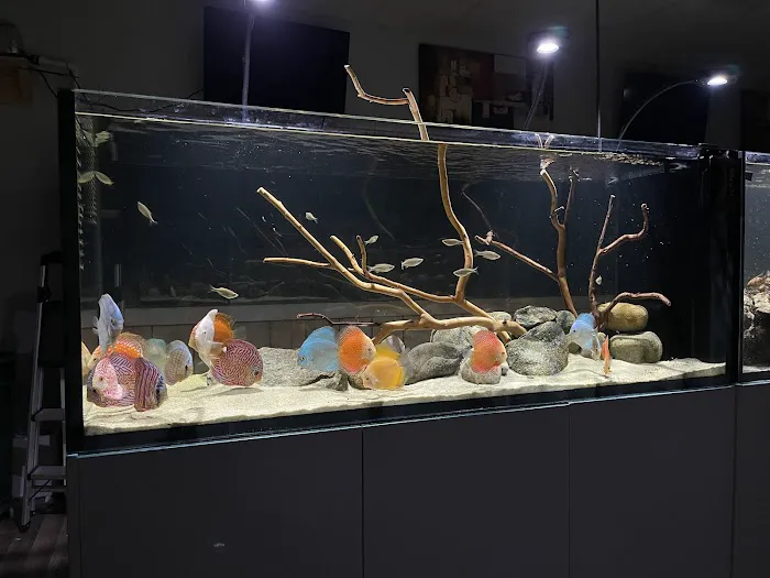 OSA Aquarium Superstores & Services- Seekonk MA Picture 5
