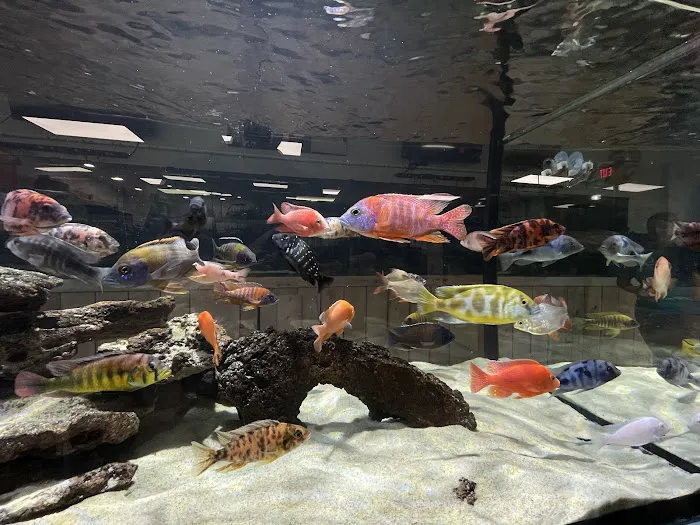 OSA Aquarium Superstores & Services- Seekonk MA Picture 8