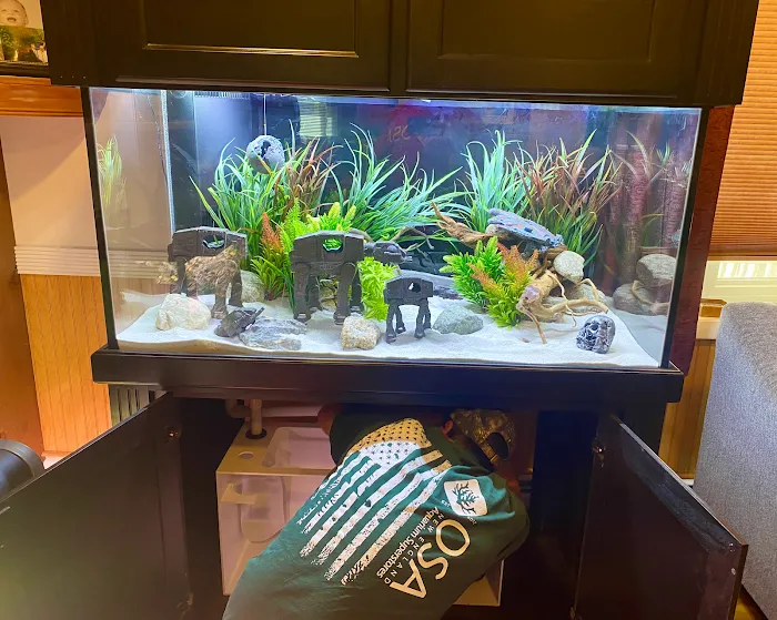 OSA Aquarium Superstores & Services- Seekonk MA Picture 6