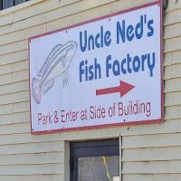 Uncle Ned's Fish Factory ico