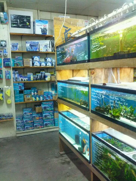 Uncle Ned's Fish Factory Picture 3