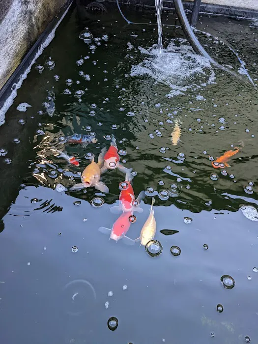 Uncle Ned's Fish Factory Picture 5