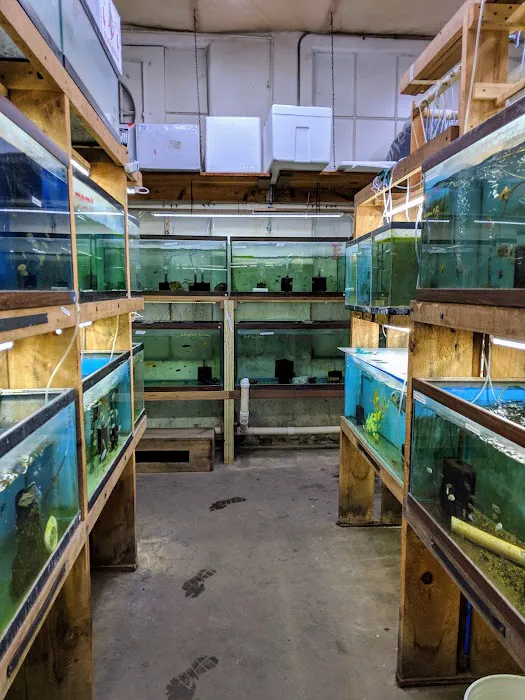Uncle Ned's Fish Factory Picture 8