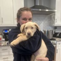 Furry Friends Mobile Vet ico