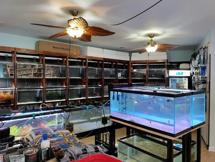 The Fish World Picture 1
