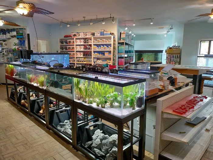The Fish World Picture 2