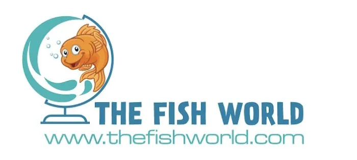 The Fish World Picture 7
