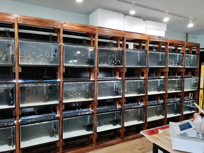 The Fish World Picture 6