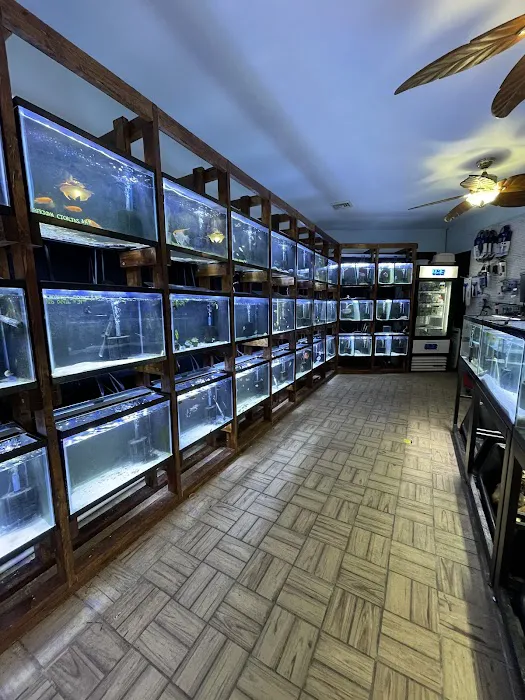 The Fish World Picture 4