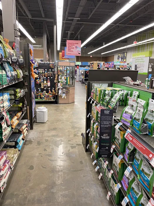 Petco Picture 2