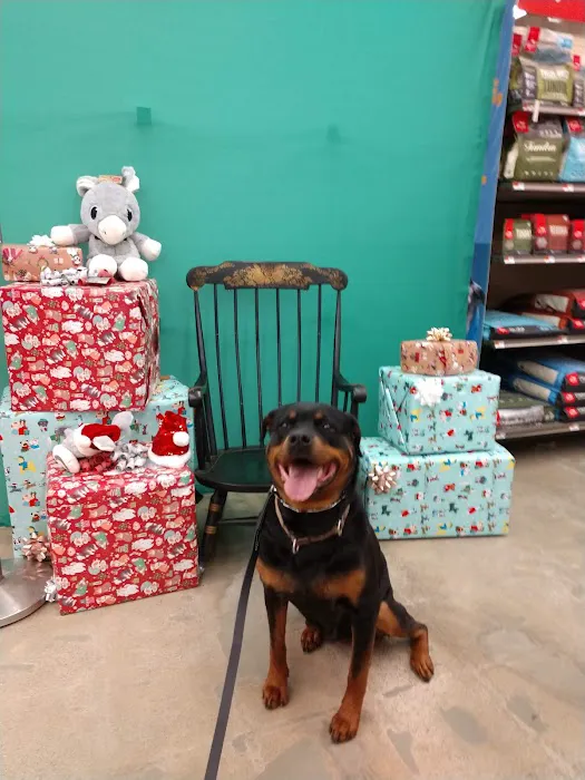 Petco Picture 9
