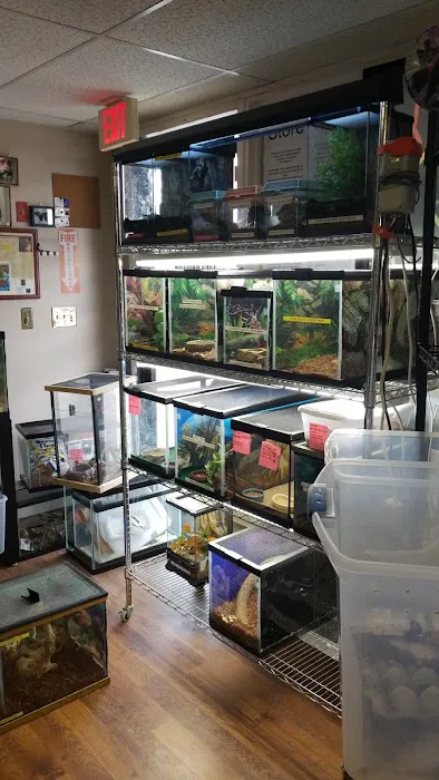 Dinky Reptiles And Aquatics Picture 1