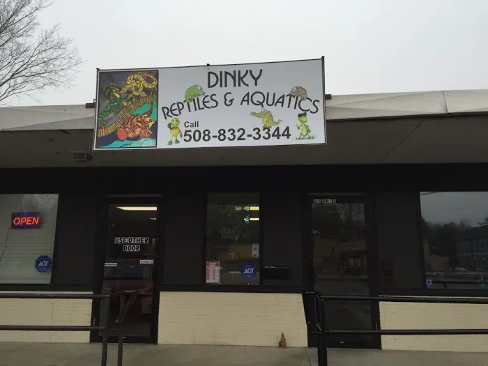 Dinky Reptiles And Aquatics Picture 2