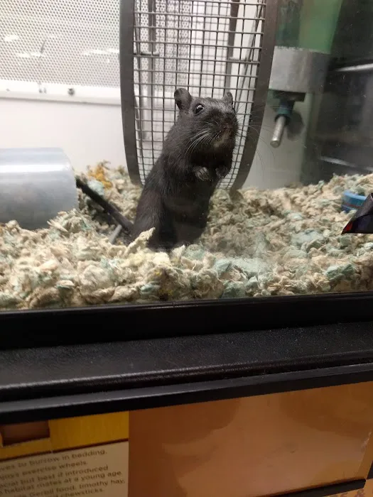 Petco Picture 2