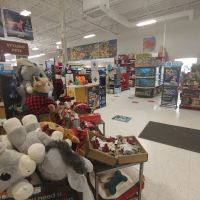 Petco ico