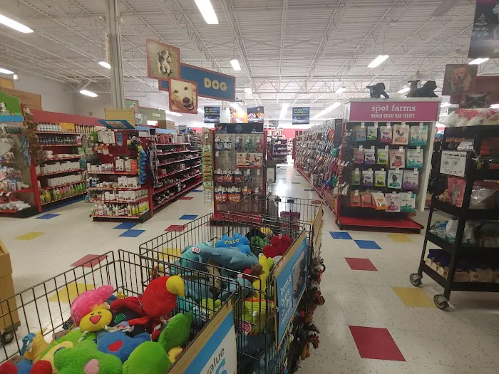 Petco Picture 4
