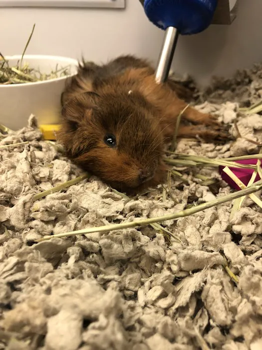 Petco Picture 7