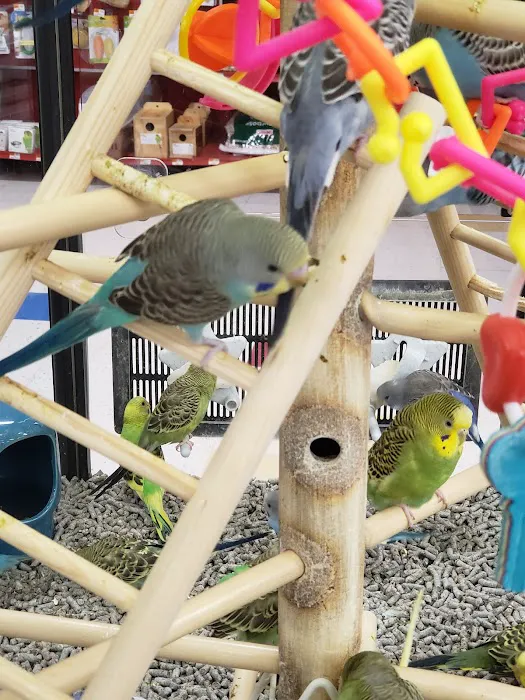 Petco Picture 9